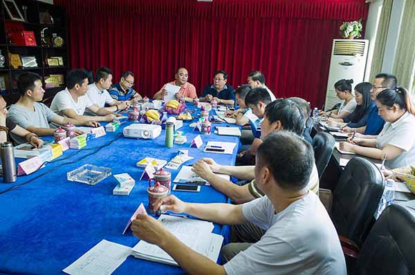 中國最早專業(yè)生產(chǎn)膠囊制劑企業(yè)|鹽酸二甲雙胍片